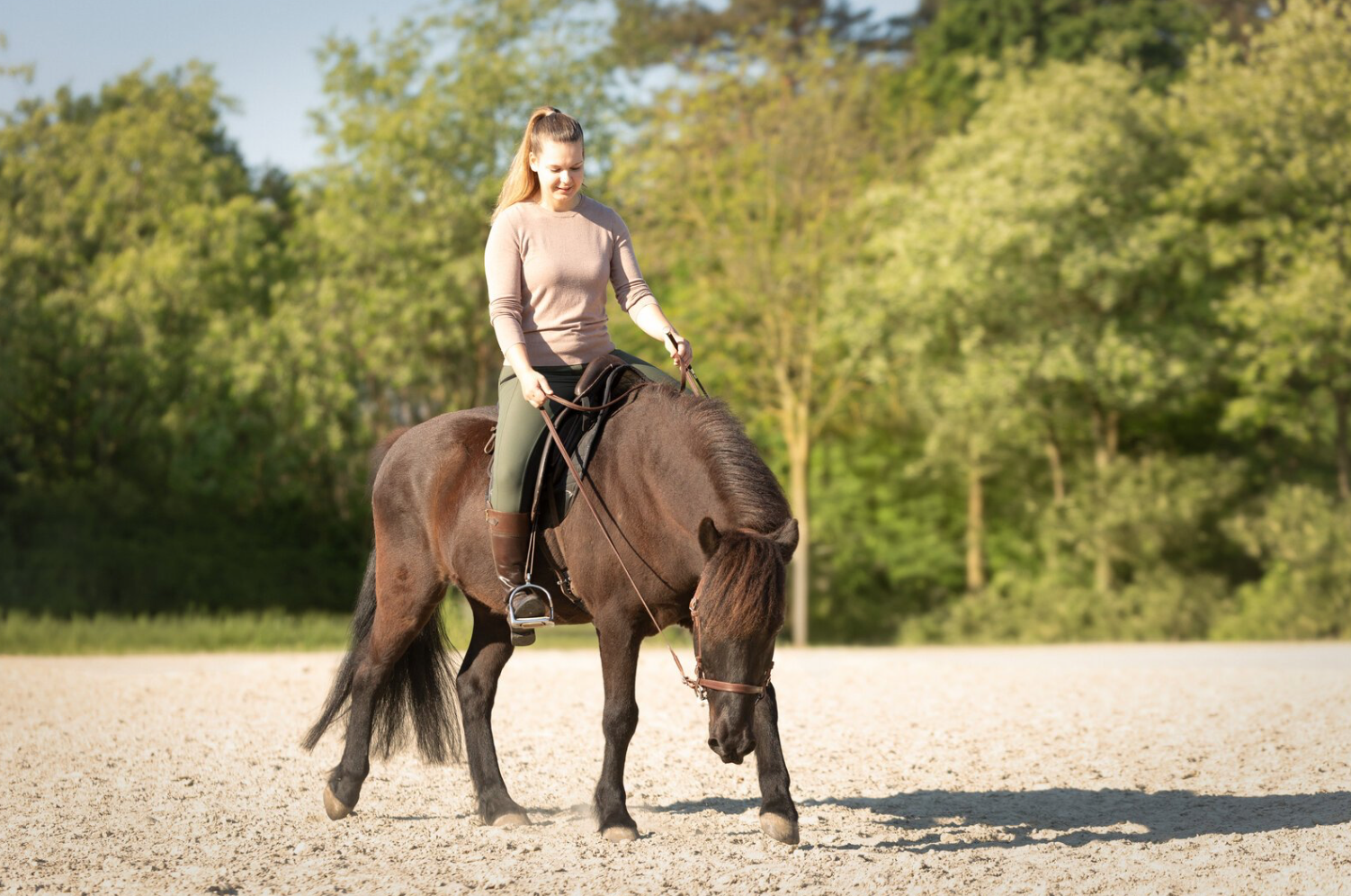 Blog Pferde gesund Reiten