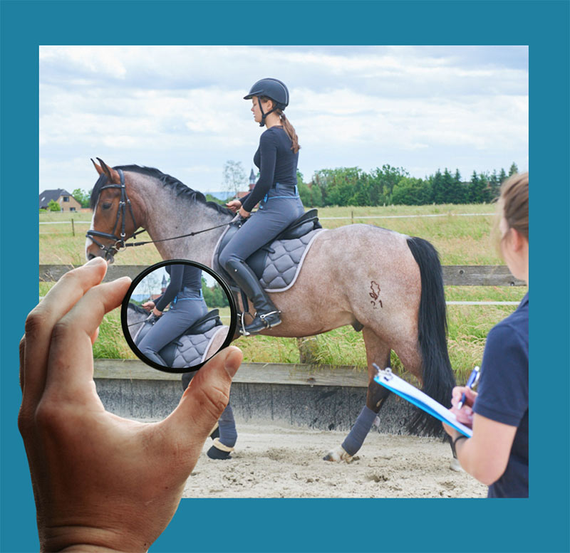 Physiologische Hilfengebung beim Reiten