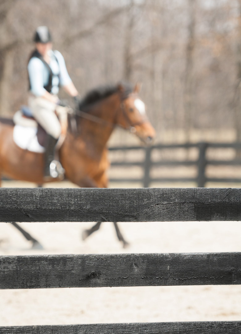 Gesundes Reiten: Ausritt